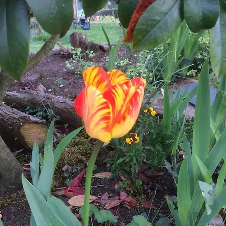 ベッド・アンド・ブレックファスト Le Vitard