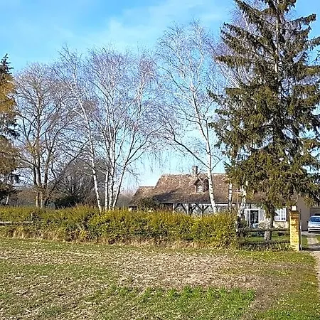 Le Vitard