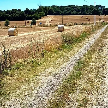 Alojamento de Acomodação e Pequeno-almoço Le Vitard Volnay (Sarthe)