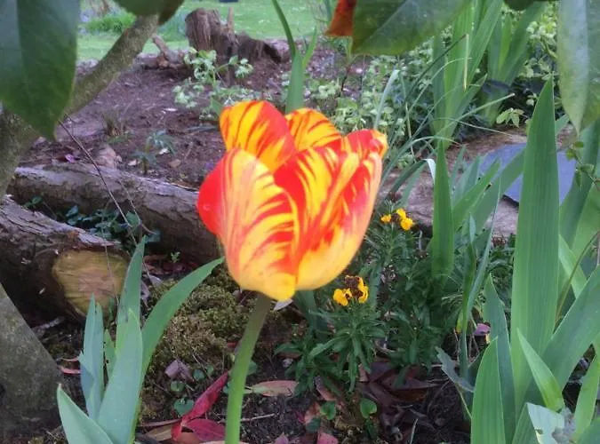 Bed & Breakfast Le Vitard